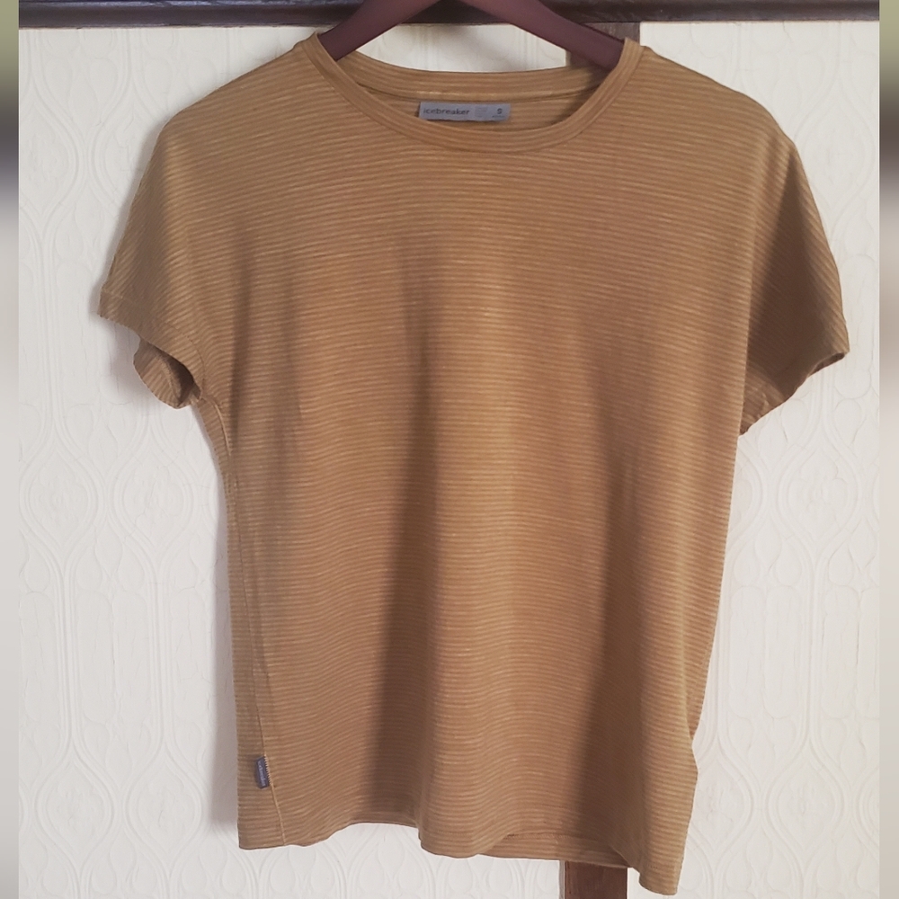 Icebreaker Top